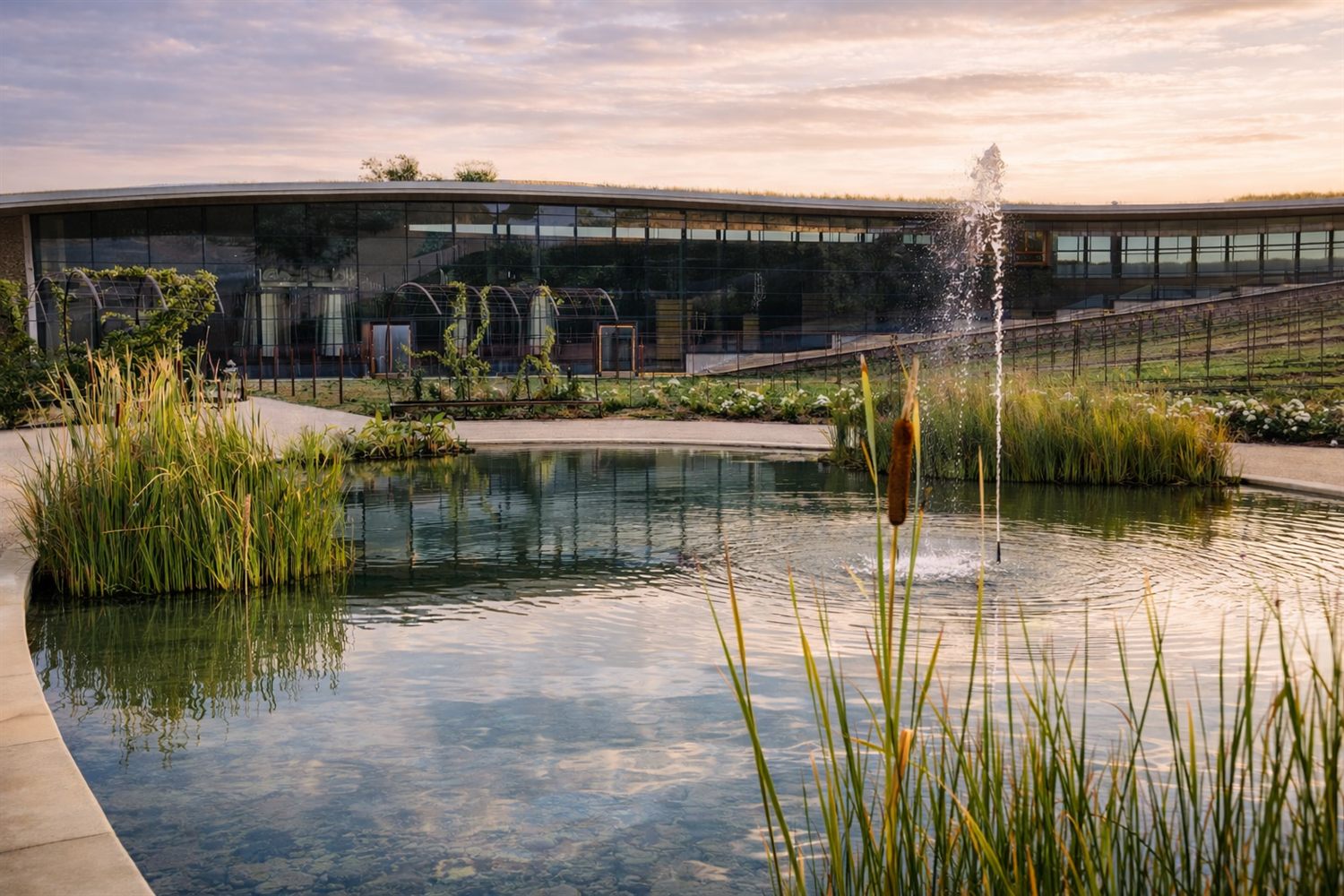 Bodegas Beronia, La Rioja Alta — proyecto de paisajismo de Arkhe