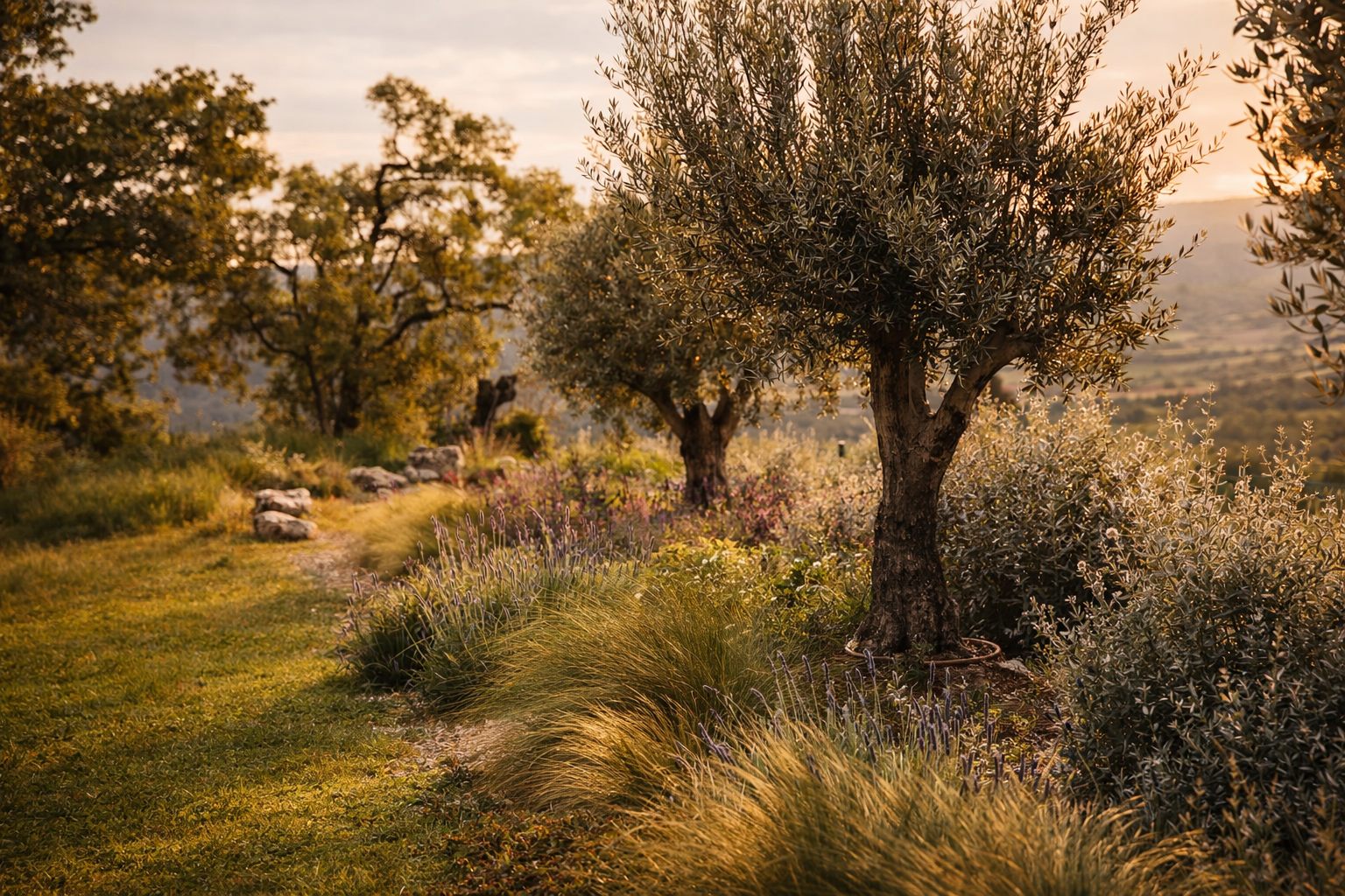 Origen — Finca Lupiana, Arkhe Paisajismo