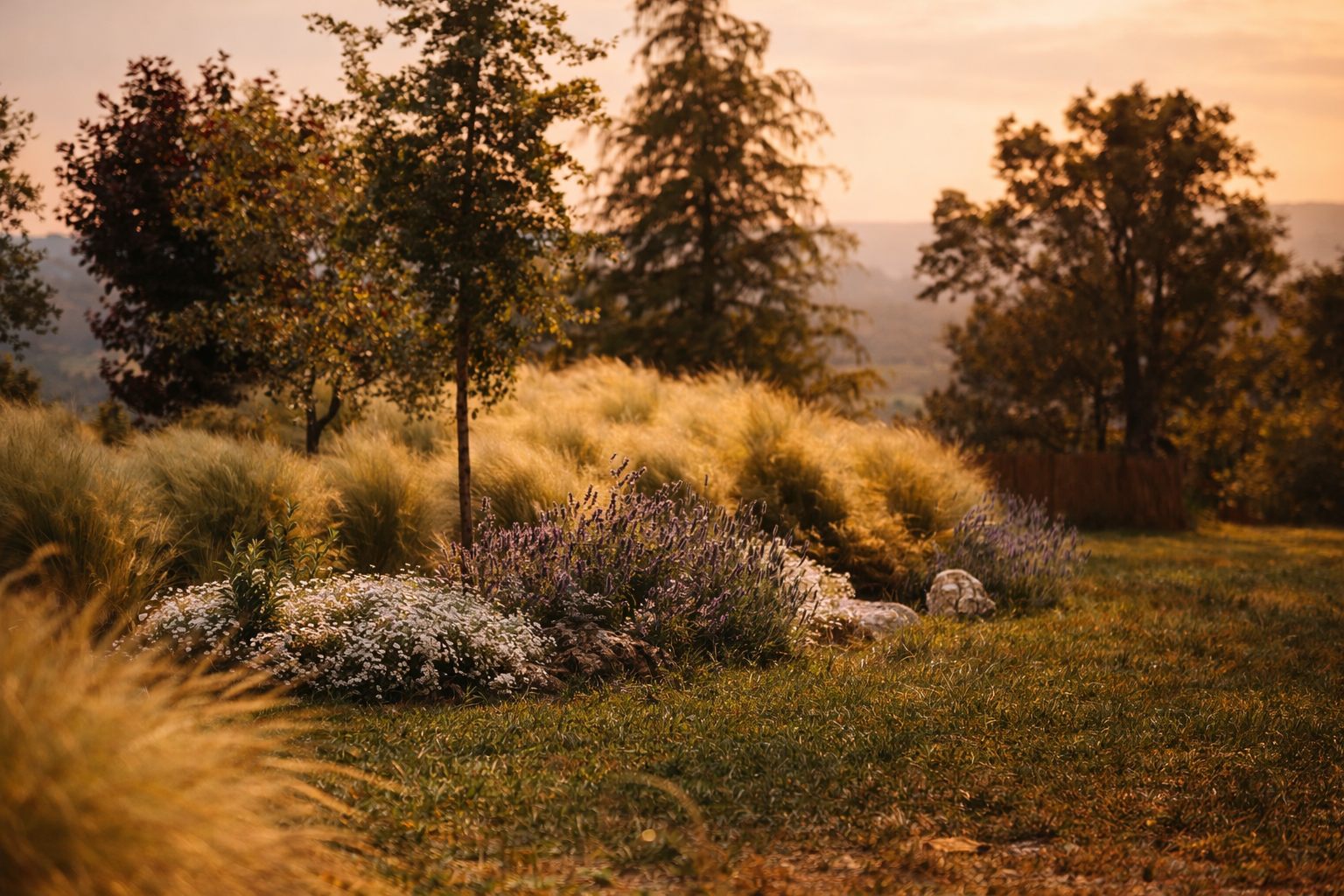 Lectura del lugar — Finca Lupiana, Arkhe Paisajismo